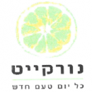 נורקייט_לוגו_חדש